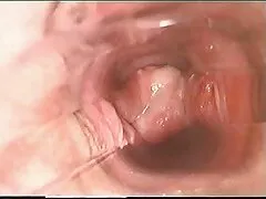 গভীর বাংলা sex গলা জুলিয়েট অংশ 2 এর
